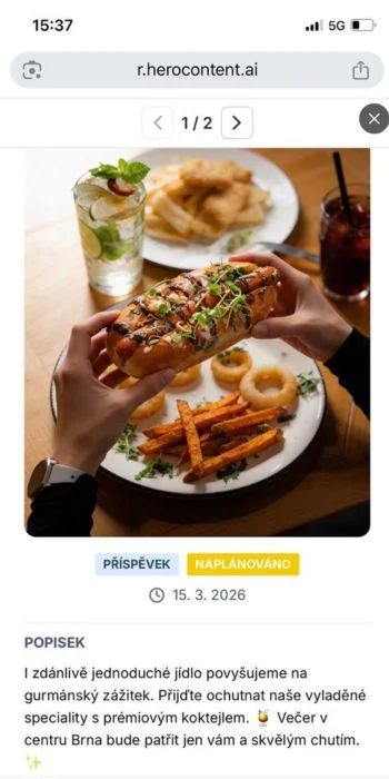 Příspěvek včetně textu